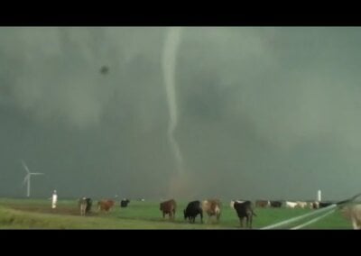 Texas Twister in a Cow Pasture