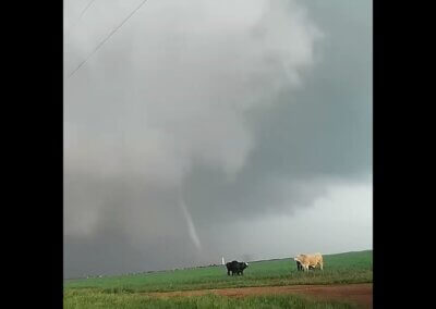 Tornado Near a Cow Pasture (Texas – 2017) #shorts