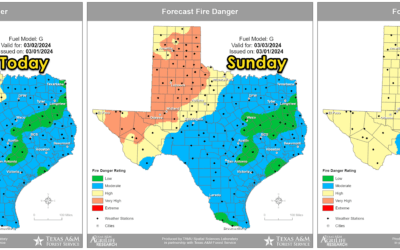 Critical Wildfire Danger Is Back for the Texas Panhandle & Western Third of Texas