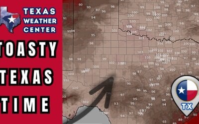 Dog Days of Summer Have Arrived in Texas